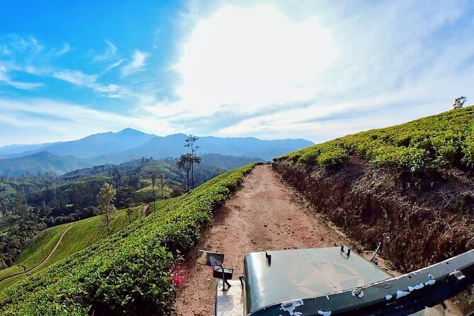 Sightseeing tour Ella & Diyaluma waterfall by car - Nine Arches Bridge and Ella’s railway setting