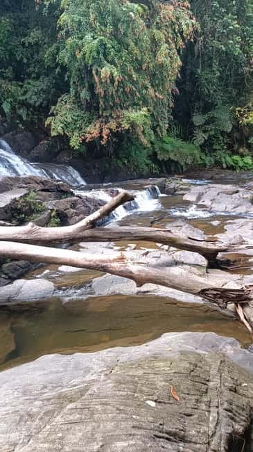 Sinharaja Rainforest: Tour with 5 Waterfalls Trek - Five things to know before you go