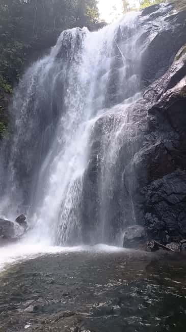 Sinharaja Rainforest: Tour with 5 Waterfalls Trek - What the $95 price really buys you