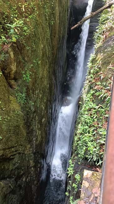 Sinharaja Rainforest: Tour with 5 Waterfalls Trek - Entering Sinharaja Rainforest with a tracker
