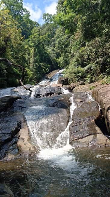 Sinharaja Rainforest: Tour with 5 Waterfalls Trek - What to pack for wet, uneven conditions