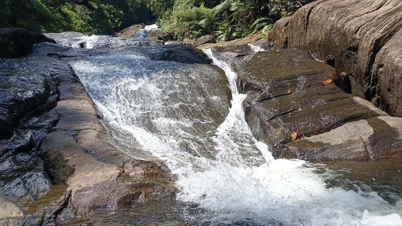 Sinharaja Rainforest: Tour with 5 Waterfalls Trek - Who will enjoy this trek most