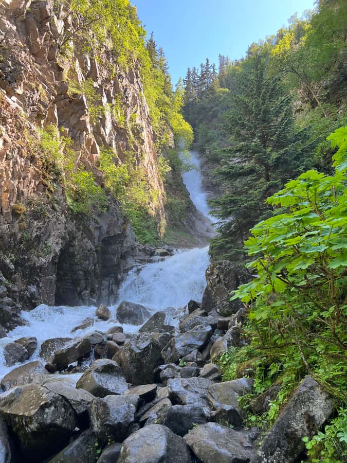 Skagway Scenic Waterfall Tour - Reid Falls and Gold Rush Cemetery