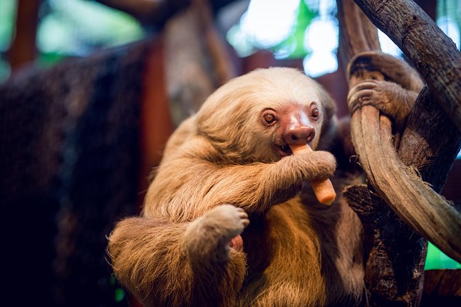 Skip the Line:Day Ticket-La Paz Waterfall Gardens Nature Park & Wildlife Refuge - What the $63.28 admission buys you
