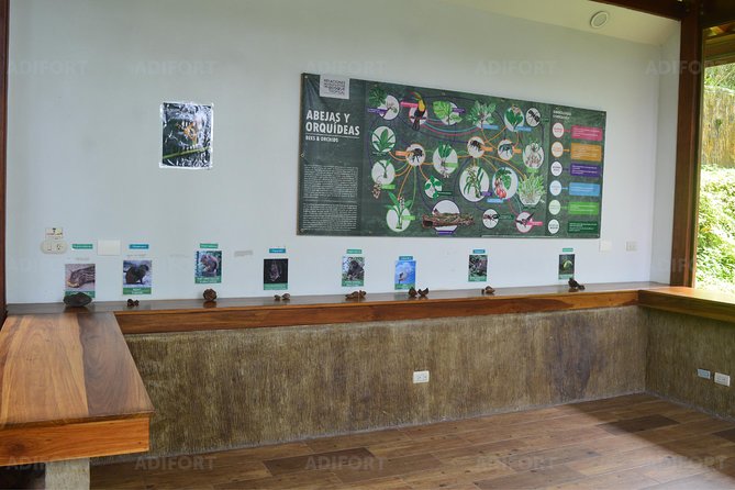 Skip-the-Line La Fortuna Waterfall Admission Ticket - The 500-step walk down