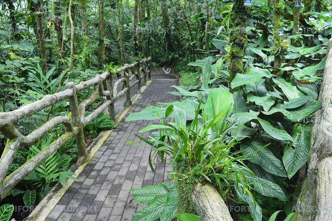 Skip-the-Line La Fortuna Waterfall Admission Ticket - How long should you allow?