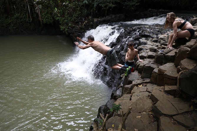 Small Group Waterfall and Rainforest Hiking Adventure on Maui - What the Guides Add