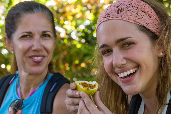 Small Group Waterfall and Rainforest Hiking Adventure on Maui - Lunch, Snacks, and Fruit Along the Way