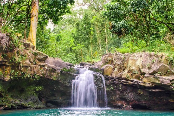 Small Group Waterfall and Rainforest Hiking Adventure on Maui - Footwear, Clothing, and What to Carry