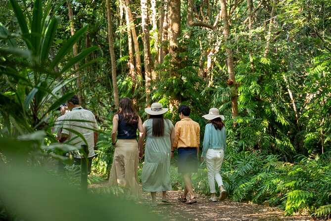 Small Group Waterfall Wetlands+ Skyrail All Inclusive from Cairns - Is the $215.90 price good value?