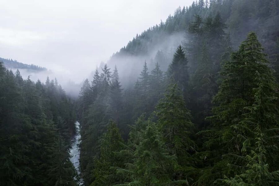 Snoqualmie, Twin Falls & Ancient Forest (Transport Included) - Twin Falls and the forest walk