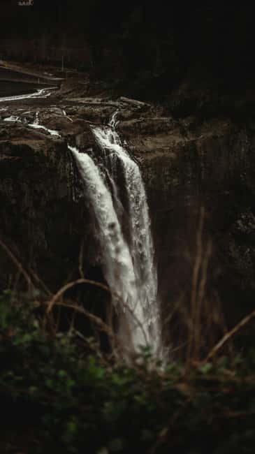 Snoqualmie, Twin Falls & Ancient Forest (Transport Included) - A guide who pays attention to the group