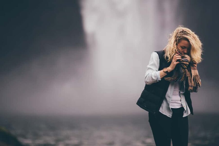 Snoqualmie, Twin Falls & Ancient Forest (Transport Included) - Who should book this experience