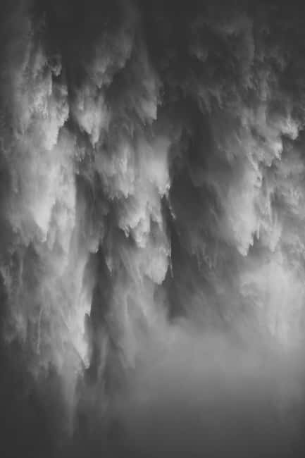 Snoqualmie, Twin Falls & Ancient Forest (Transport Included) - Zeitgeist Coffee to the Cascade foothills