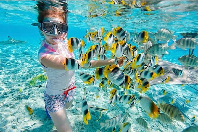 Snorkeling At Blue lagoon And Hidden waterfall - Key points to know before you book