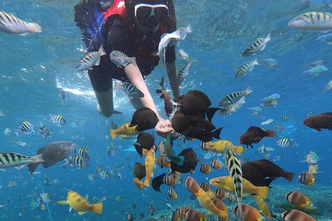 Snorkeling At Blue lagoon And Hidden waterfall - Tanjung Jepun and Blue Lagoon snorkeling