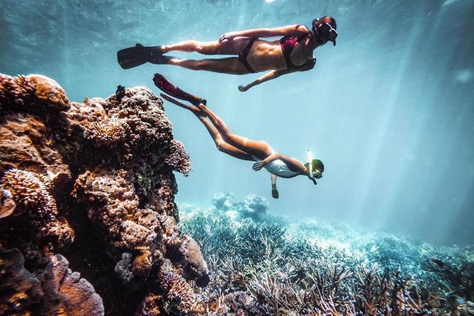 Snorkeling At Blue lagoon And Hidden waterfall - Satria Coffee Plantation and optional craft stops