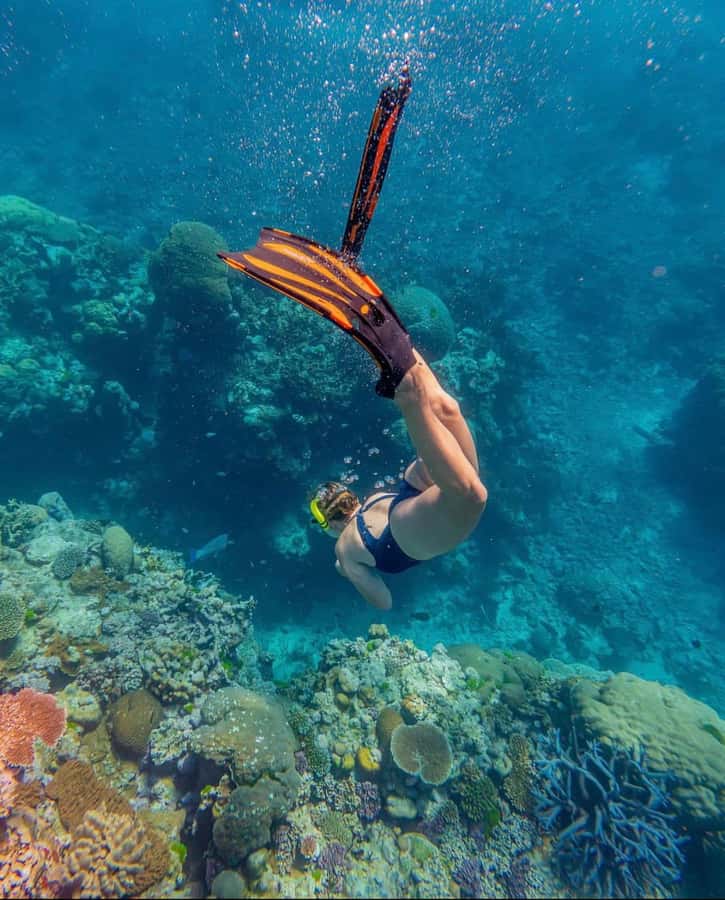 Snorkeling at Blue Lagoon, Tanjung Jepun and Waterfall - Why Blue Lagoon and Tanjung Jepun make a good pair