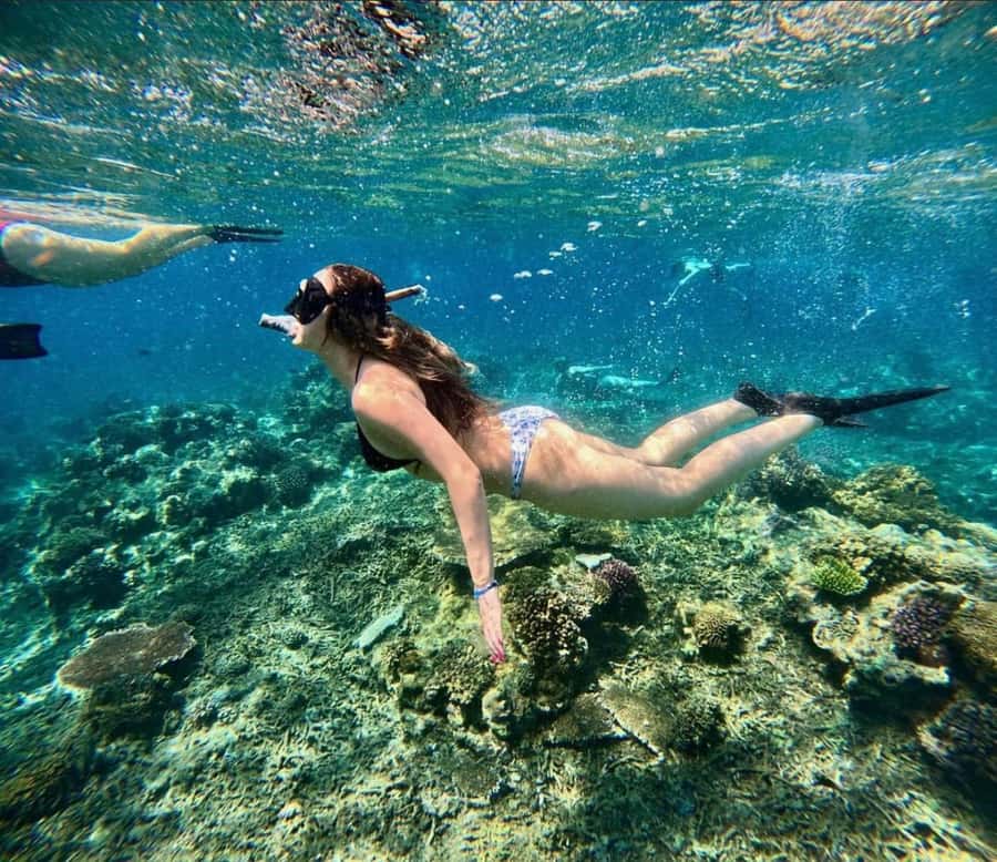 Snorkeling at Blue Lagoon, Tanjung Jepun and Waterfall - What you may see beneath the surface