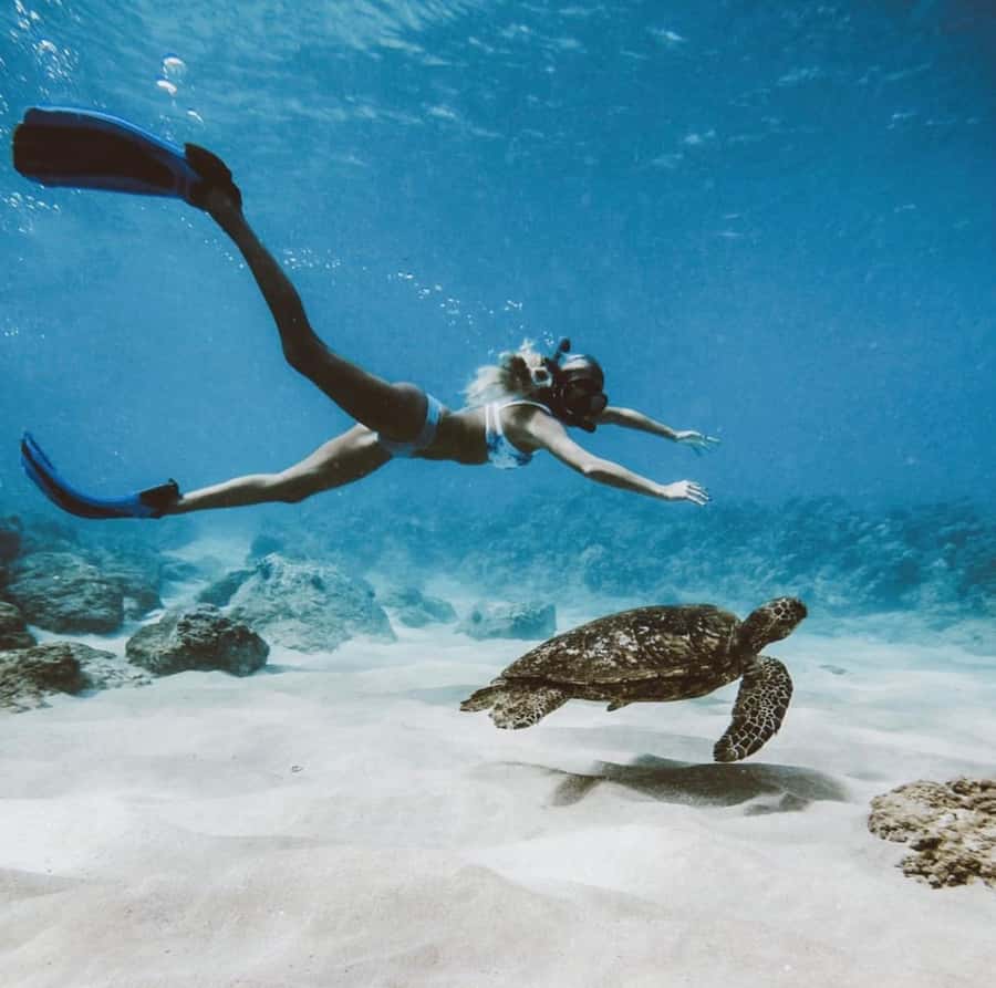 Snorkeling at Blue Lagoon, Tanjung Jepun and Waterfall - Is $67 a fair price?