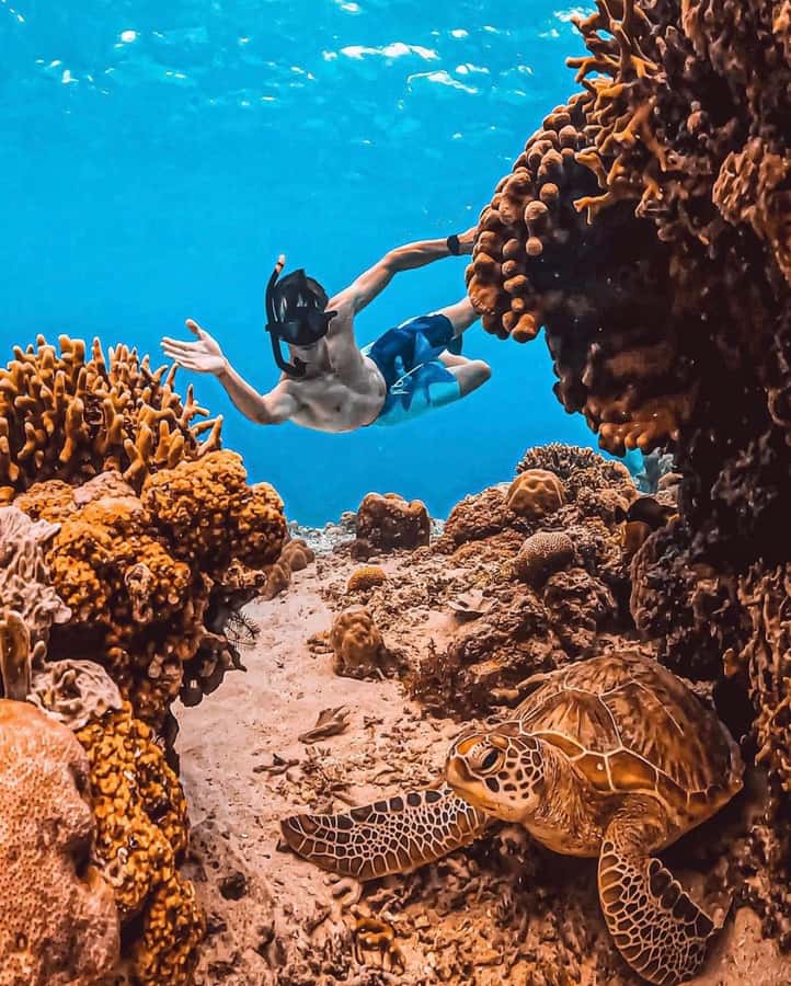 Snorkeling at Blue Lagoon, Tanjung Jepun and Waterfall - What the guide adds to the day