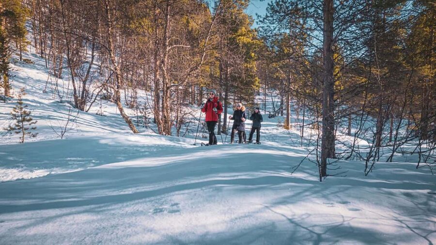 Snowshoeing Adventure to the Enchanting Frozen Waterfall - Orvvosfossen, frozen into a natural sculpture