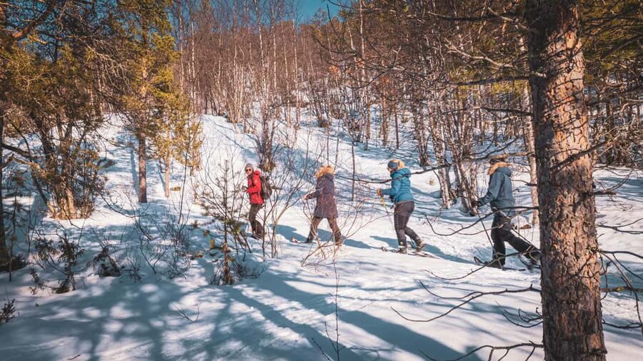 Snowshoeing Adventure to the Enchanting Frozen Waterfall - Is $187 a fair price?
