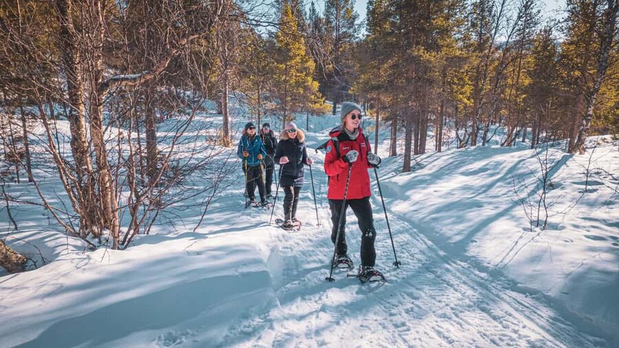 Snowshoeing Adventure to the Enchanting Frozen Waterfall - Practical preparation for Alta’s winter cold