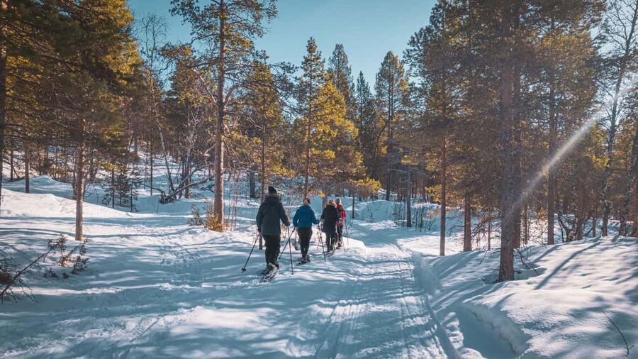 Snowshoeing Adventure to the Enchanting Frozen Waterfall - Should you book the Orvvosfossen snowshoe walk?