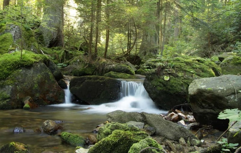 Sofia: Lovech, Devetaki Cave and Krushuna Waterfalls Tour - Why this Sofia day trip works