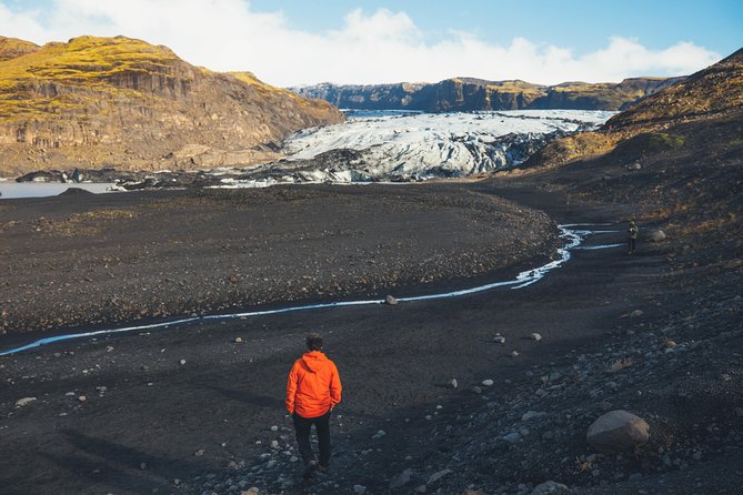 South Coast Day Tour Black Sand Beach & Waterfalls from Reykjavik - Reynisfjara: black sand and serious wave danger