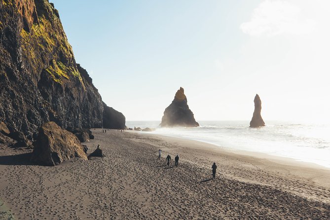 South Coast Day Tour Black Sand Beach & Waterfalls from Reykjavik - A full day with planned breaks