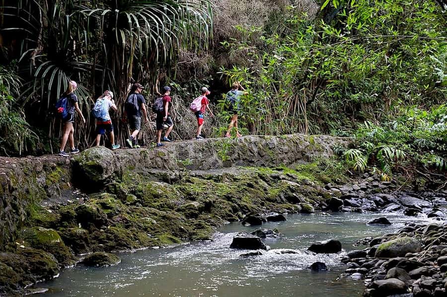 South Maui: Waterfall Tour w/ Kayak, Snorkel, and Hike - Should You Book This South Maui Adventure?