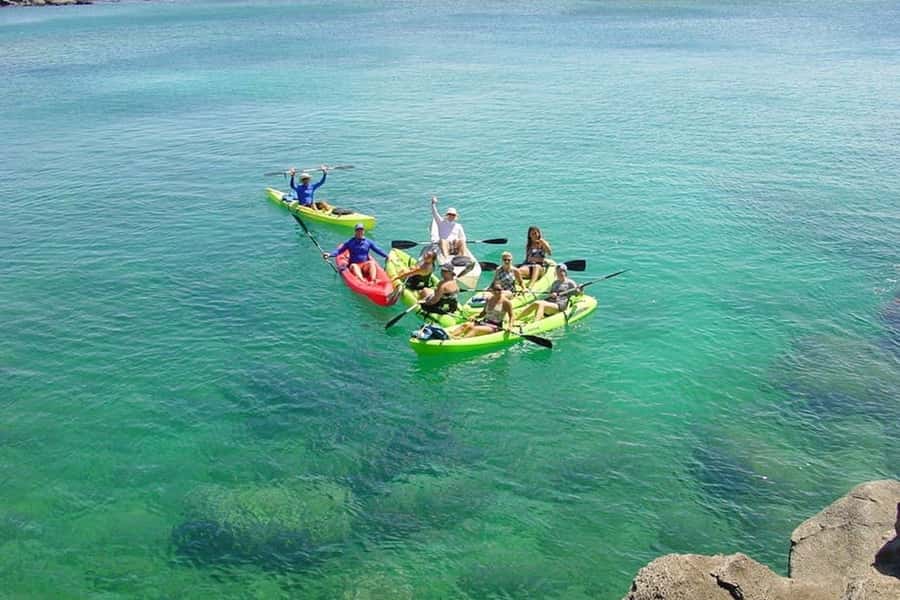 South Maui: Waterfall Tour w/ Kayak, Snorkel, and Hike - Snorkeling With Hawaiian Green Sea Turtles