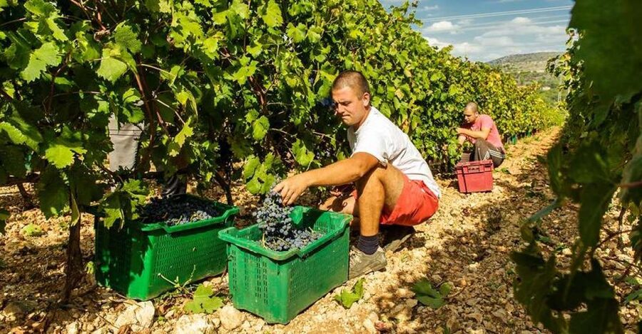 Split or Trogir: Krka Waterfalls & Wine and Food tasting - How much time you get at the waterfalls