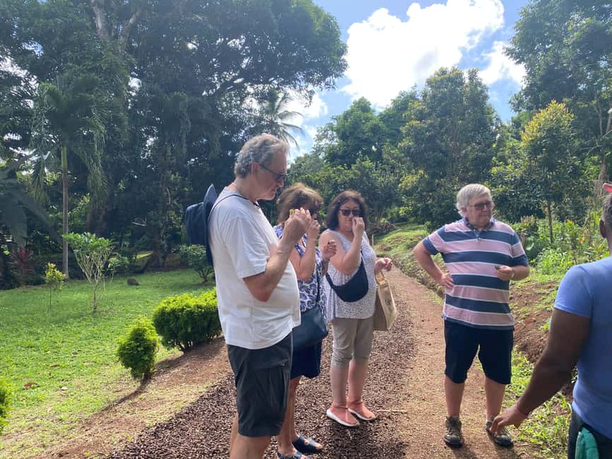 St. George's: Half-day spice and waterfall tour - Why this four-hour tour works well in Grenada