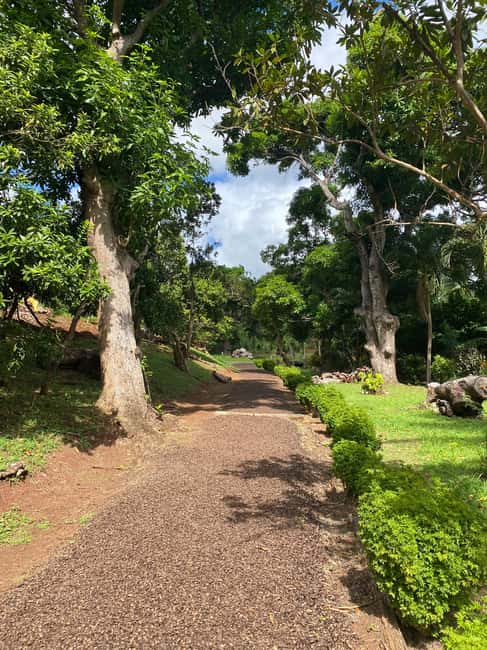 St. George's: Half-day spice and waterfall tour - Learning Grenada’s spice story
