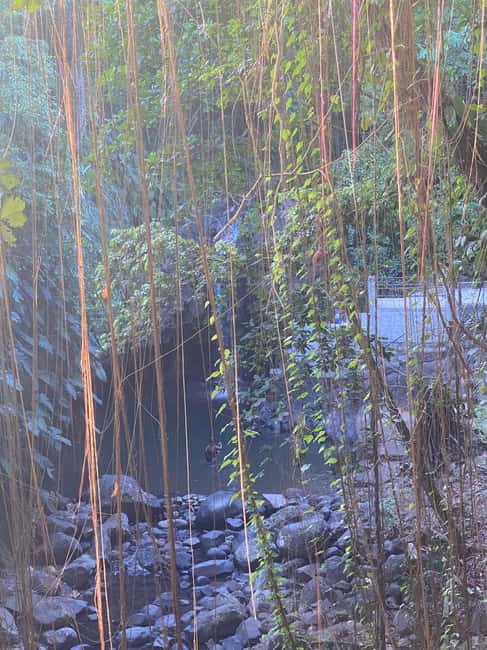 St. George's: Half-day spice and waterfall tour - The drive is part of the tour