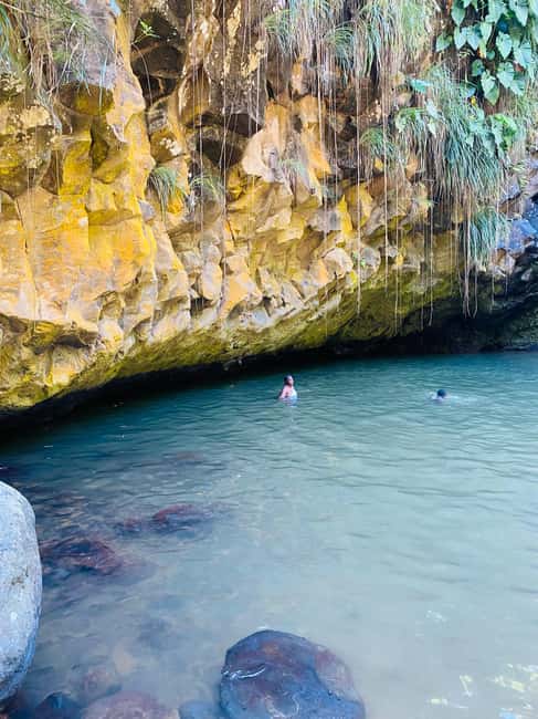 St. George's: Half-day spice and waterfall tour - Is $88 per person good value?