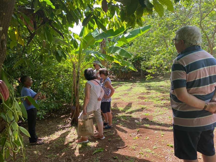 St. George's: Half-day spice and waterfall tour - Pickup in St. George’s and beyond