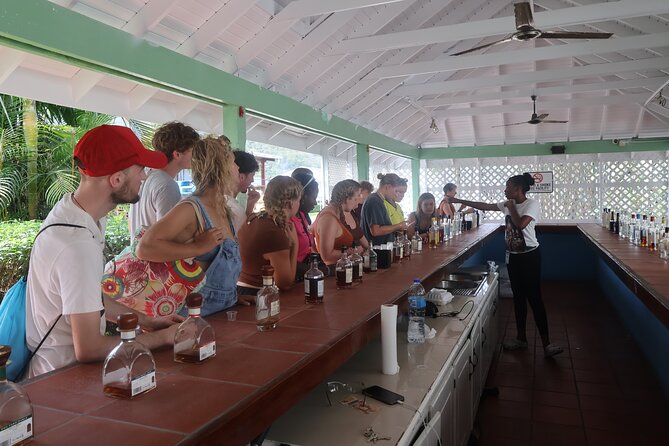 St Lucia ATV Tour : Waterfall, Plantation, Beach and Distillery - Safety, skill level, and the actual riding