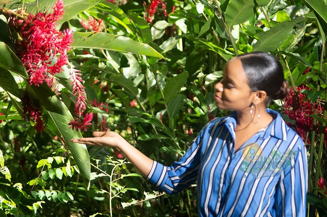 St. Lucia Botanical Gardens and Waterfall Tour Groups only - Pickup reliability needs extra attention