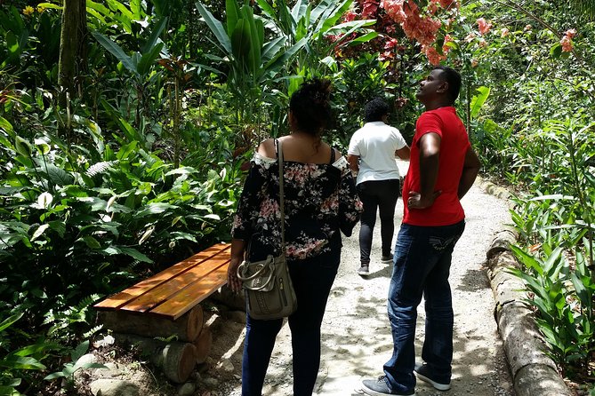 St Lucia Diamond Mineral and Mud Baths Plus Waterfall Adventure - Toraille Waterfall: the cool finish to the bathing stops