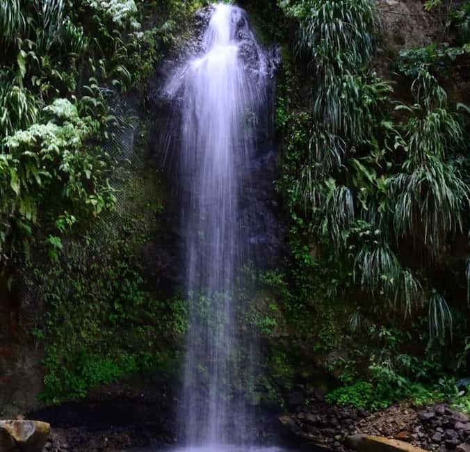 St. Lucia: Sulphur Springs Mud Bath and Toraille Waterfall - Practical preparation before you go
