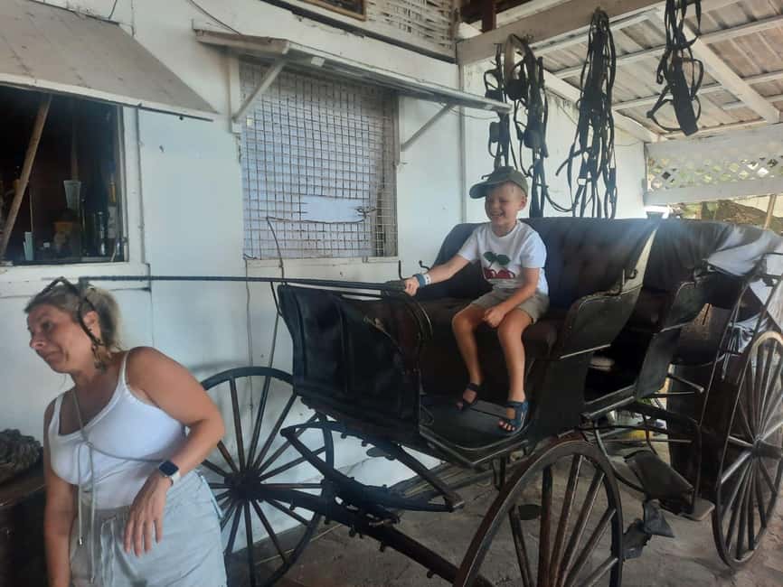 St. Vincent: Leeward Island Tour with Dark View Falls - Pirates of the Caribbean Is More Photo Stop Than Museum