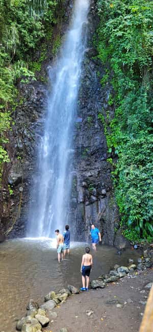 St. Vincent: Leeward Island Tour with Dark View Falls - Botanical Gardens Offers a Quieter Change of Pace