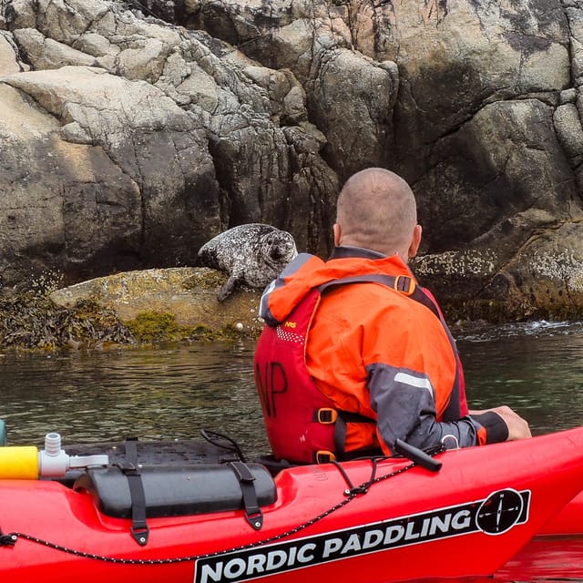 Stavanger: Lysefjord Kayak Safari (Waterfalls & Pulpit Rock) - Weather, clothing, and the real effort involved