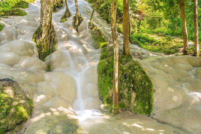 Sticky Waterfall Chiang Mai and Mae Ngat Boat Tour - What the $63.37 cost really covers