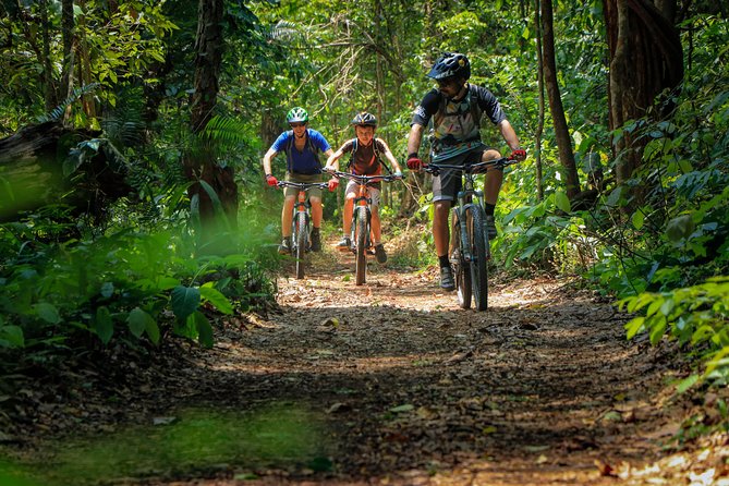 Sticky Waterfall Cycling Tour - What the $81.46 price includes