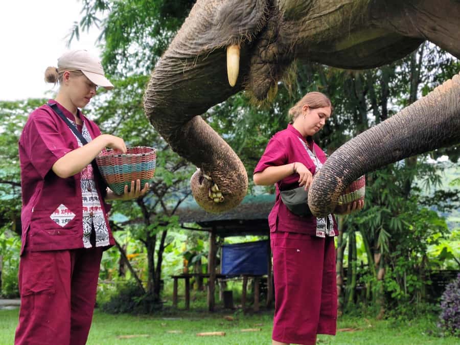 Sticky waterfalls- Elephants- Bamboo or White water rafting. - The day at a glance